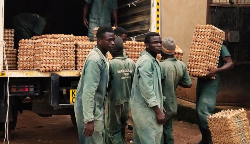 Workers loading goods for distribution